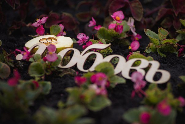 5320896_419384114.jpg – Видеограф Алексей Эль | Фото и видео услуги в Москве - 1 из 7