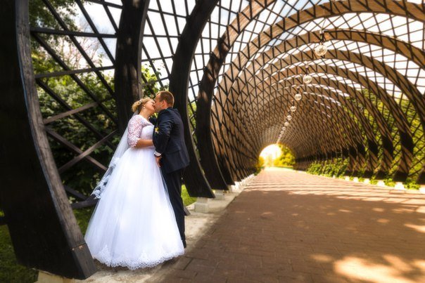 Свадьбы&nbsp;Видеограф Алексей Эль : 