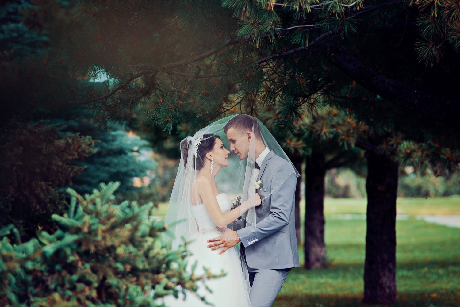 Свадьба Максима и Ксении&nbsp;Свадебный семейный фотограф : 