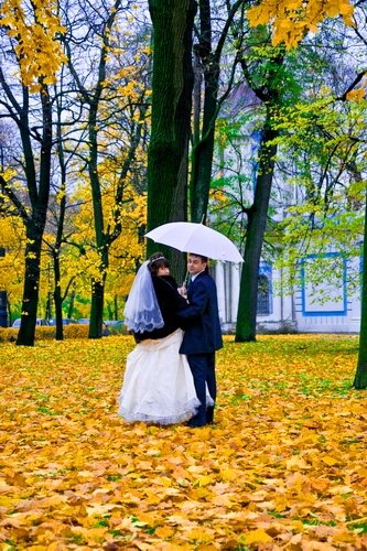 Свадебное фото&nbsp;Творческая студия Палитра : 