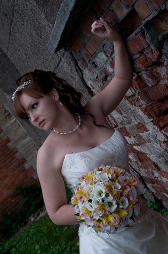 Свадебное фото&nbsp;Творческая студия Палитра : 
