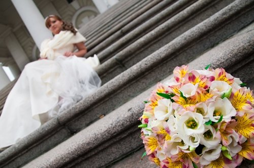 Свадебное фото&nbsp;Творческая студия Палитра : 