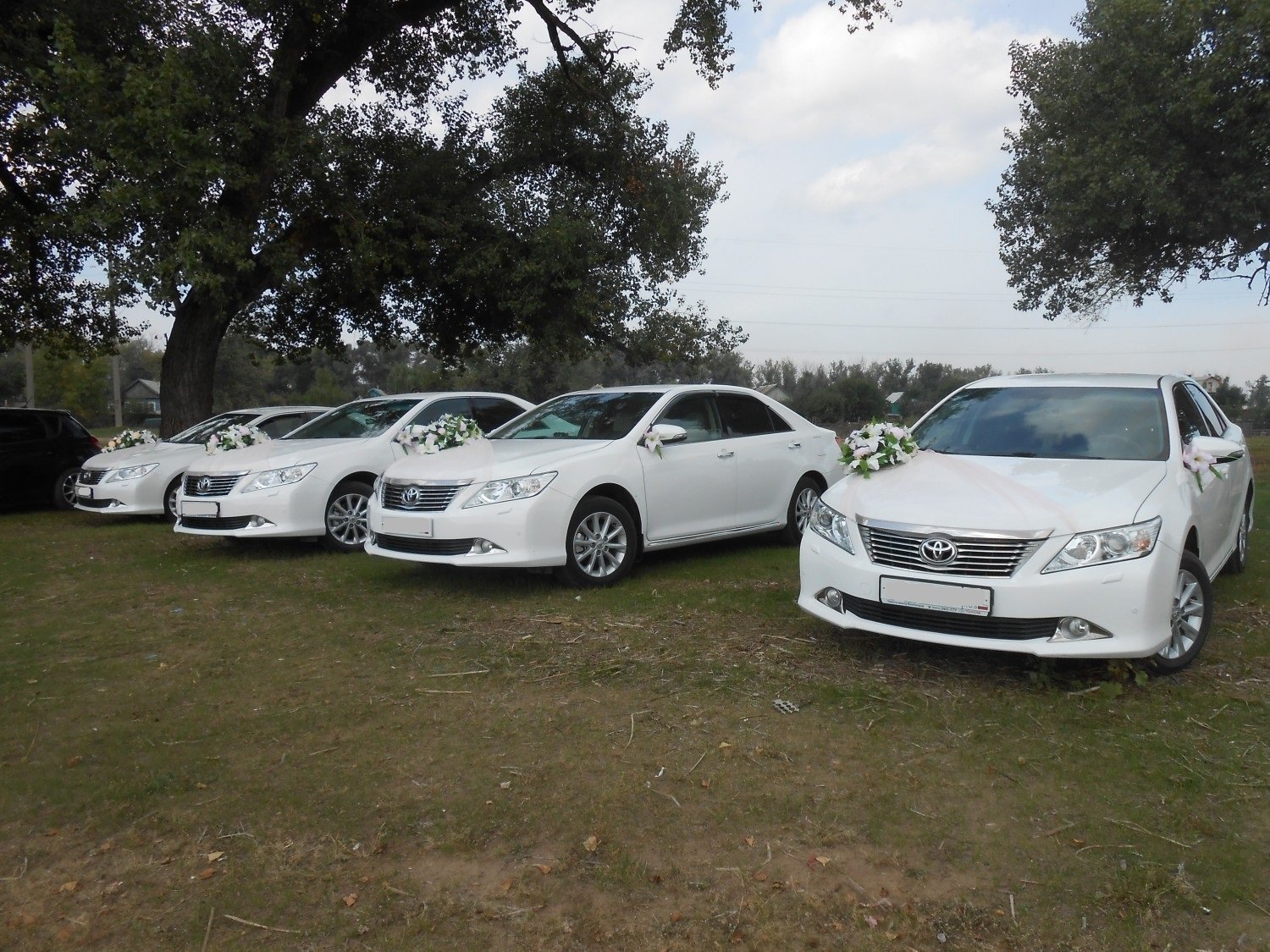 Воспользуйтесь уникальным предложением и закажите автомобиль или свадебный кортеж в компании VIP-Комфорт Toyota Camry в Самаре и Тольятти&nbsp;Такси VIP-Комфорт TOYOTA CAMRY Самара-Тольятти : 