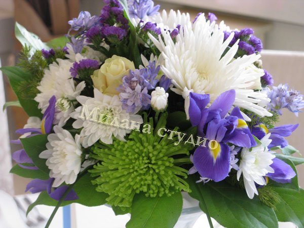 Наши работы&nbsp;Студия Милана : 