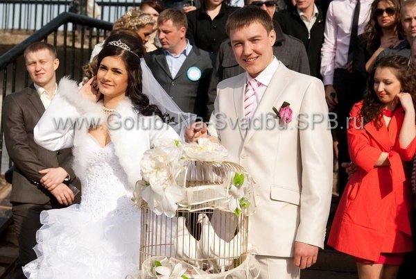 golubi-na-svadbu-foto-1.jpg – Голуби на свадьбу |  в Санкт-Петербурге - 1 из 30