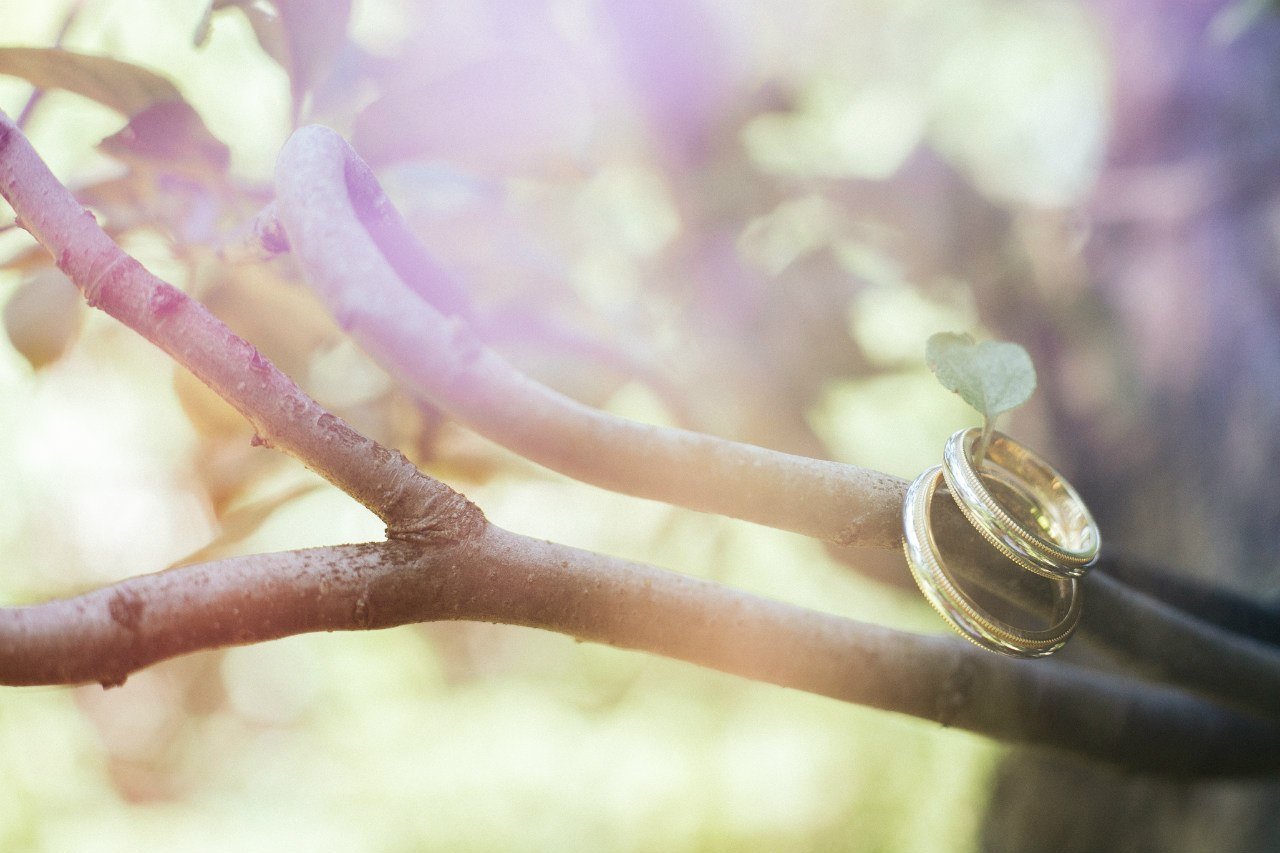 Ведущий свадебных торжеств&nbsp;Ведущий свадебных торжеств Павел Артёмов : 