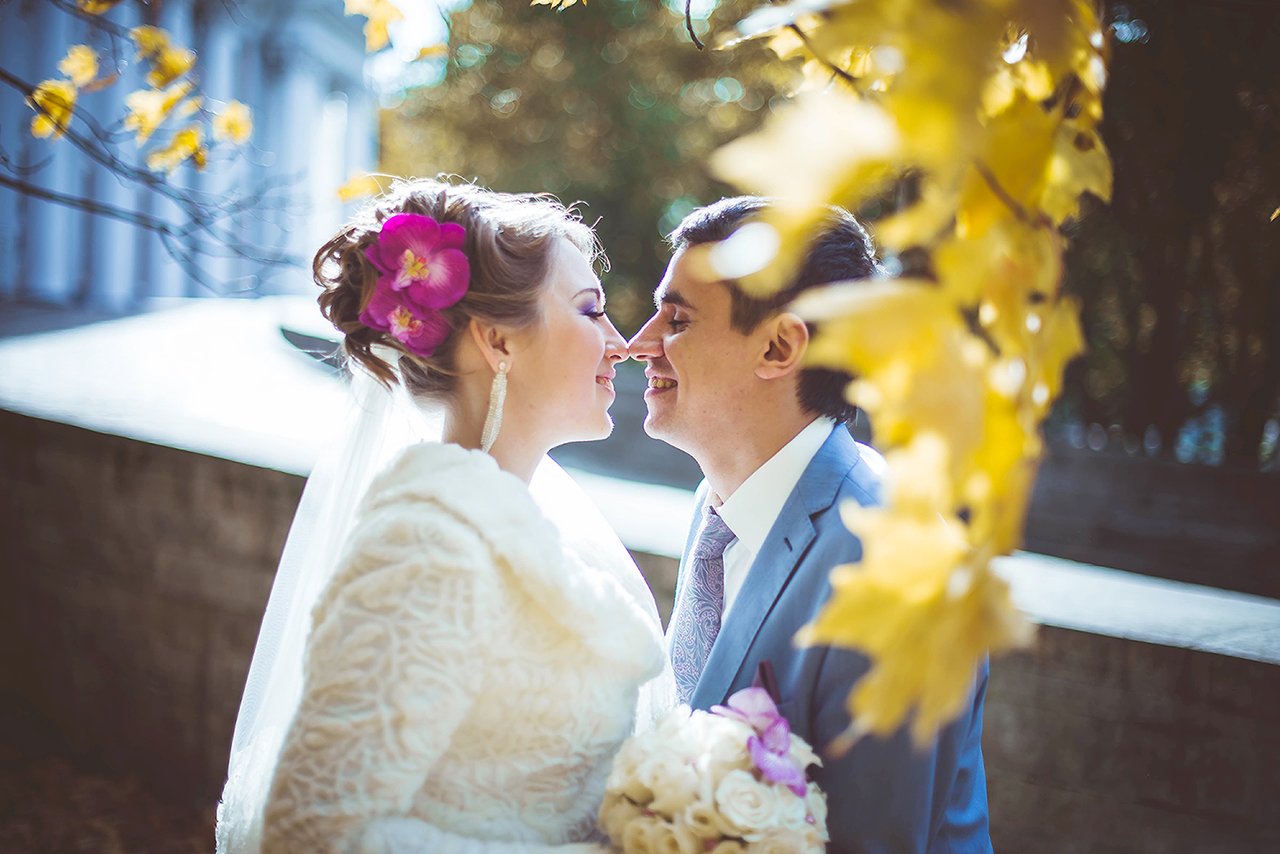 Разное&nbsp;София Стоякина : 