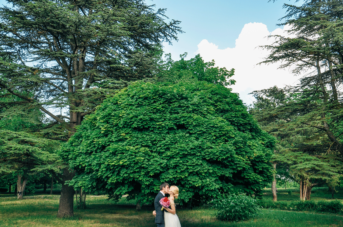 wedding&nbsp;Свадебный фотограф Евгения Тюхтина : 