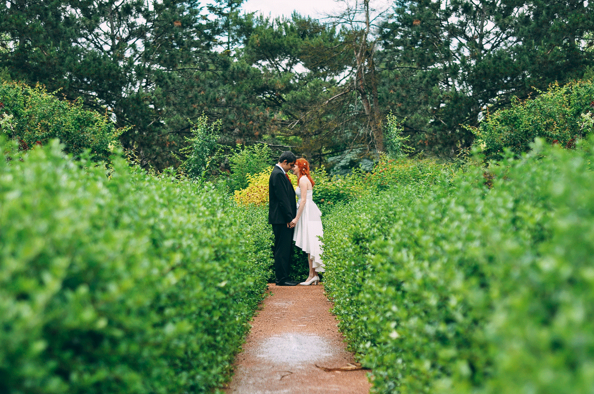 wedding&nbsp;Свадебный фотограф Евгения Тюхтина : 