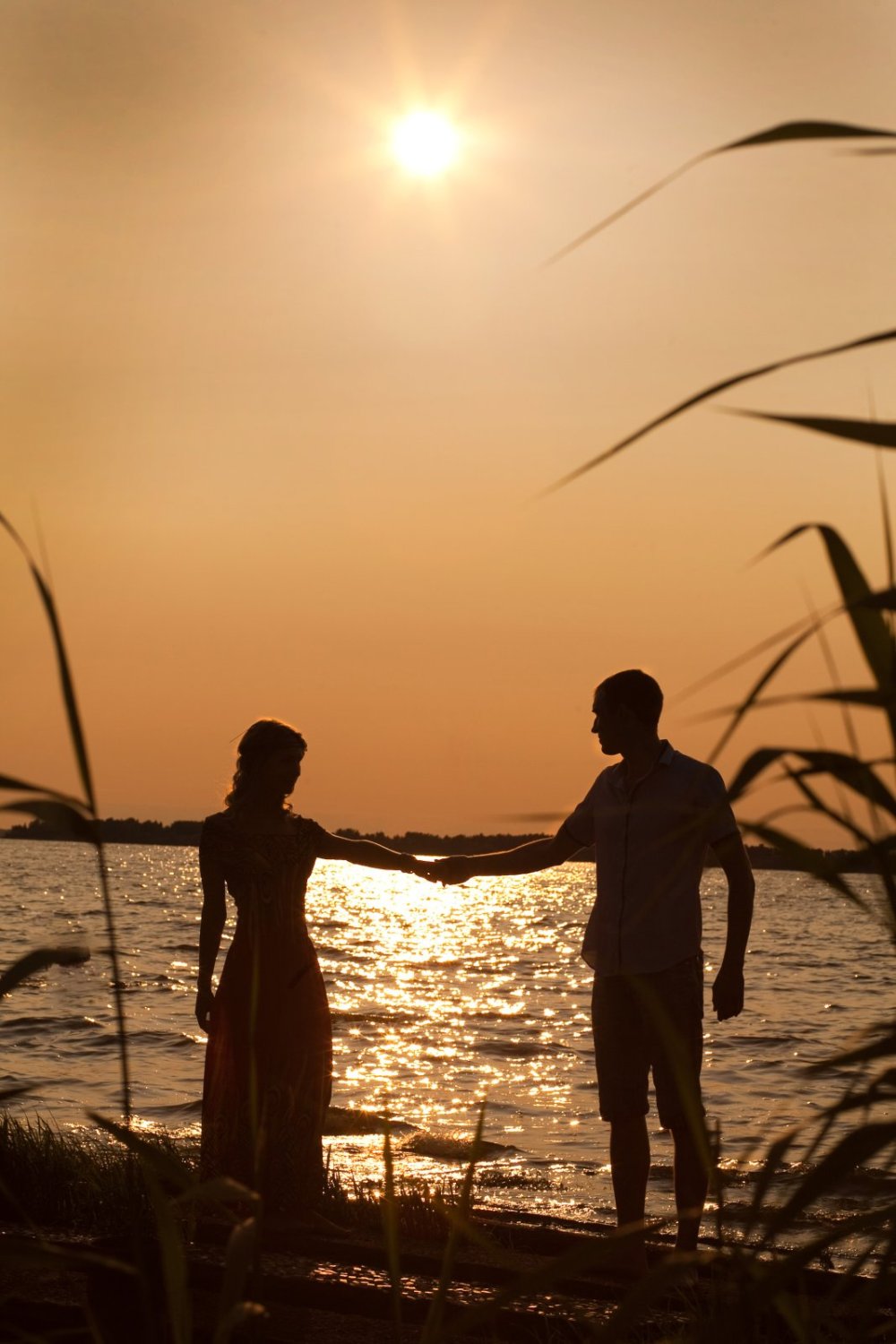 Свадебный&nbsp;Александр Белолапотков : 