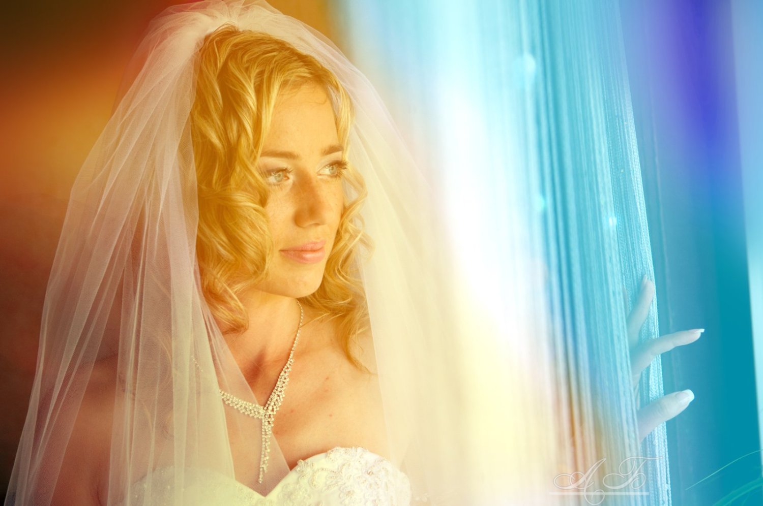 Свадебный&nbsp;Александр Белолапотков : 