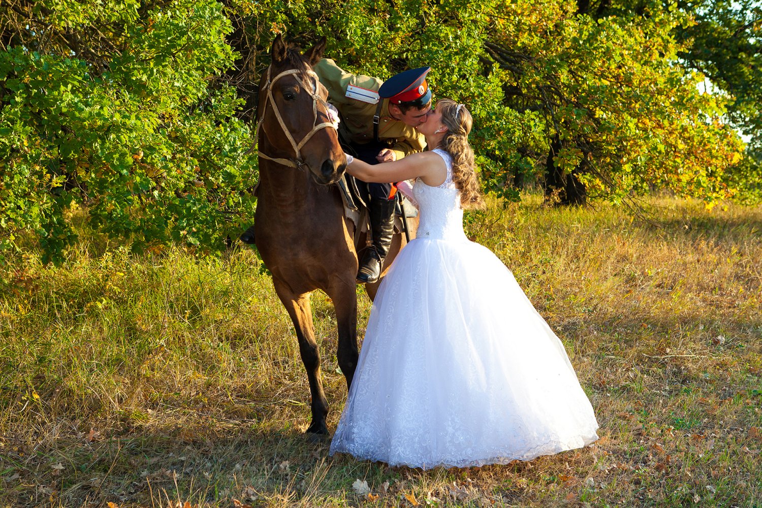 Портфолио&nbsp;Видеооператор Фотограф Александр Орлов : 