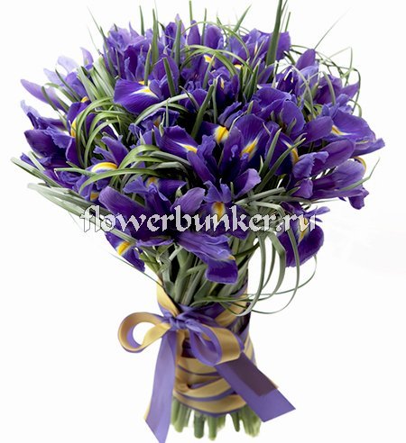 1331 Моей милой.jpg – Цветочный бункер |  в Санкт-Петербурге - 1 из 88