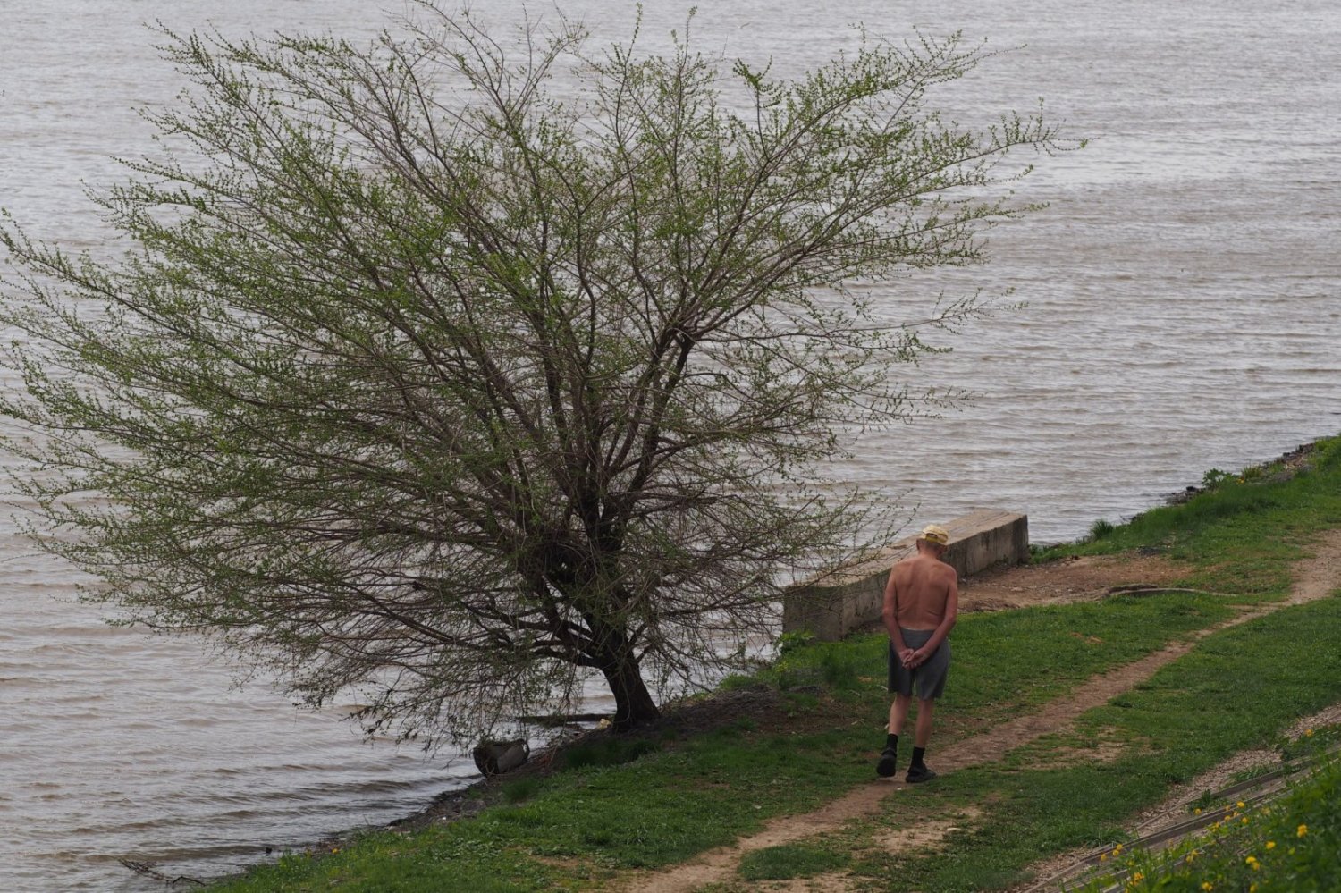 Москва и москвичи&nbsp;Сергей Михальченко : 