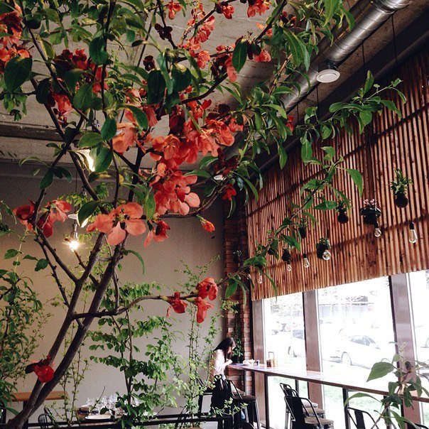 Наш зал&nbsp;Дикий сад / Jardin Sauvage : 