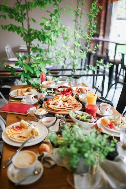 Наш зал&nbsp;Дикий сад / Jardin Sauvage : 