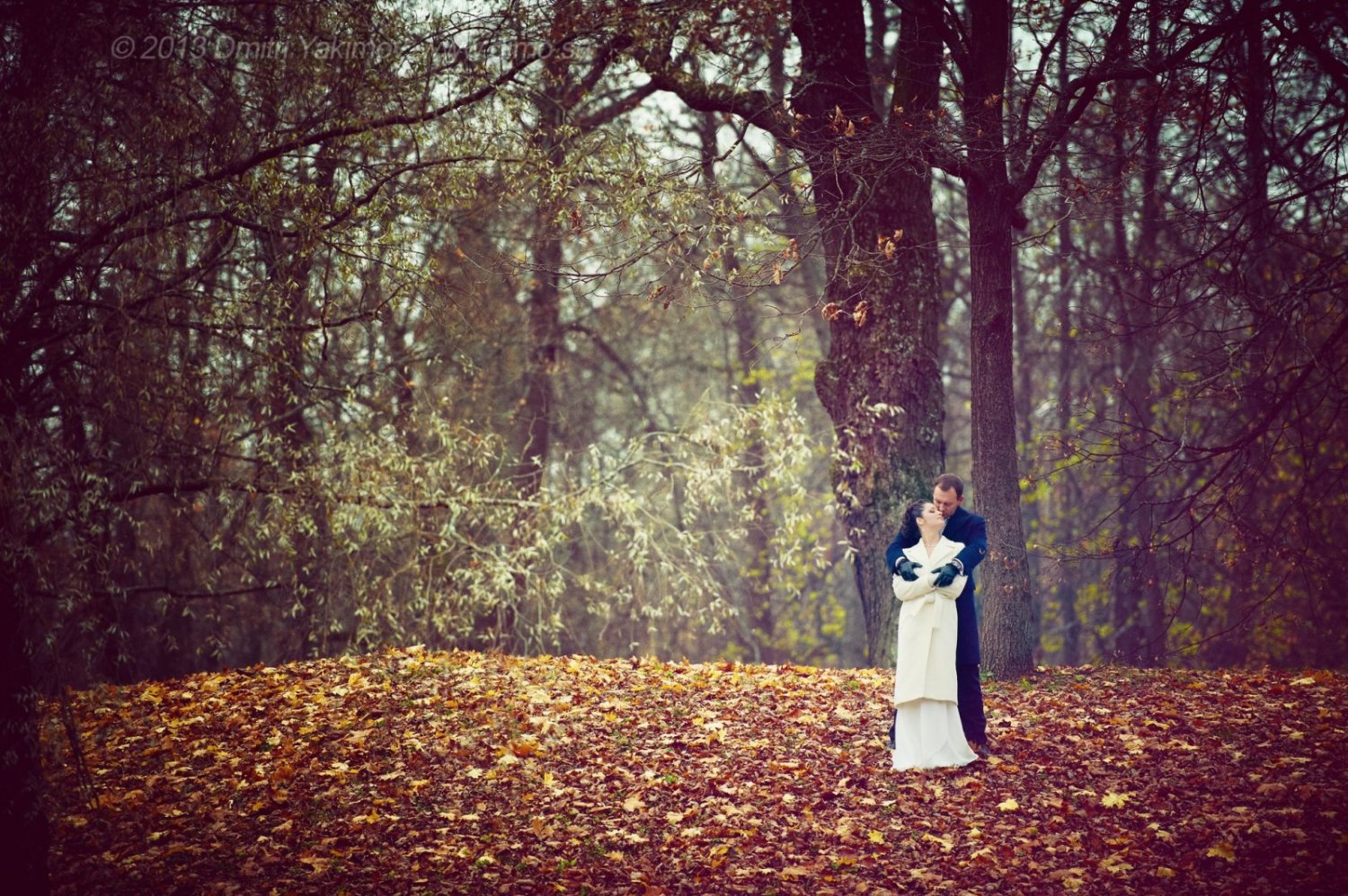 Свадебный фотограф Дмитрий Якимов&nbsp;Свадебный фотограф СПб : 