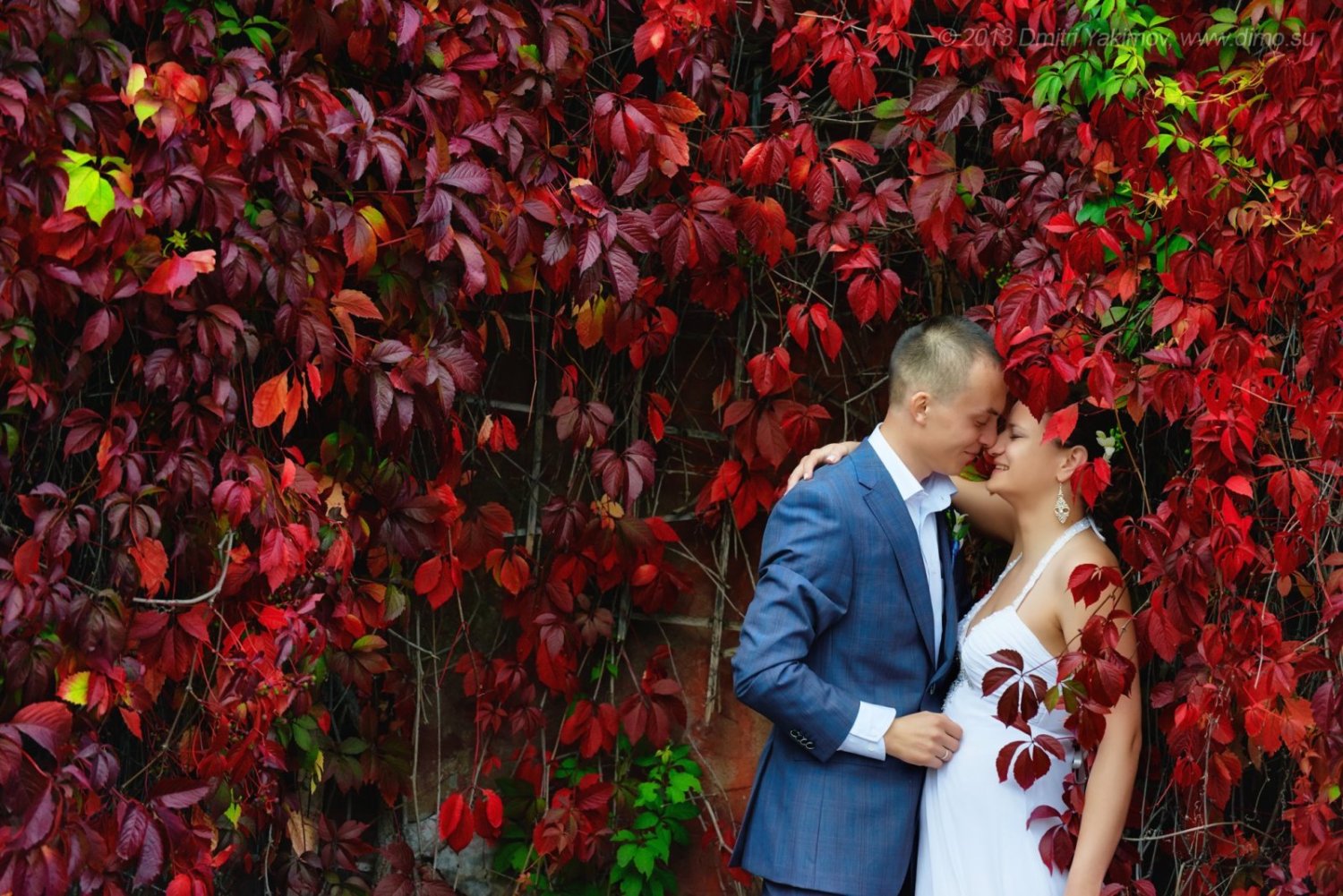 Свадебный фотограф Дмитрий Якимов&nbsp;Свадебный фотограф СПб : 