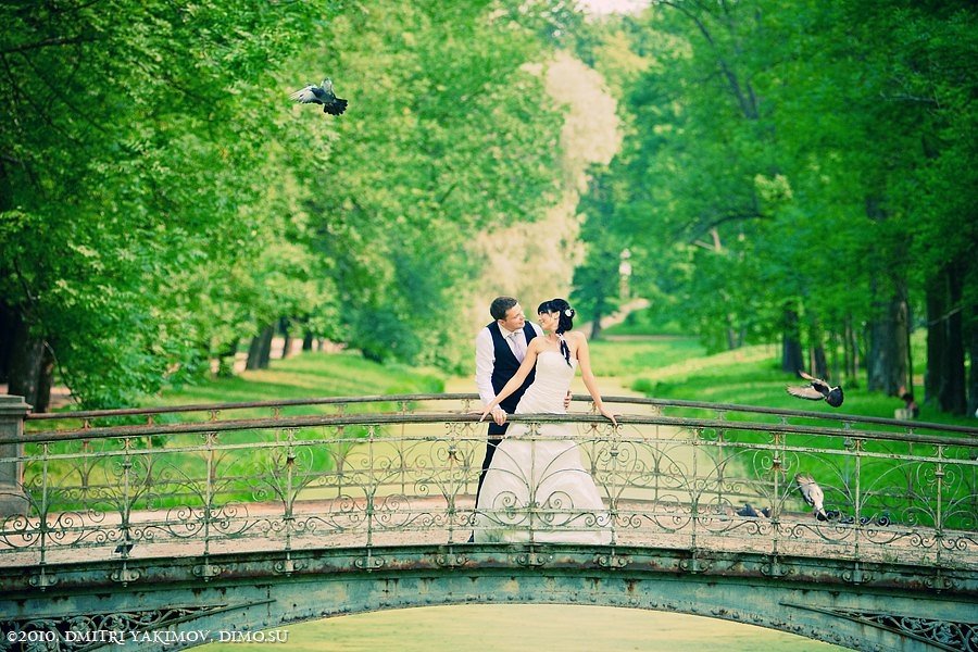 Свадебный фотограф Дмитрий Якимов&nbsp;Свадебный фотограф СПб : 
