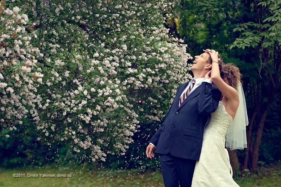 Свадебный фотограф Дмитрий Якимов&nbsp;Свадебный фотограф СПб : 