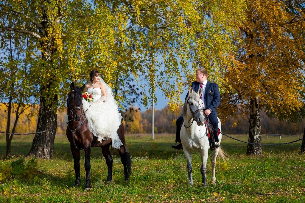 свадьба&nbsp;студия фото-видеосъемки : 