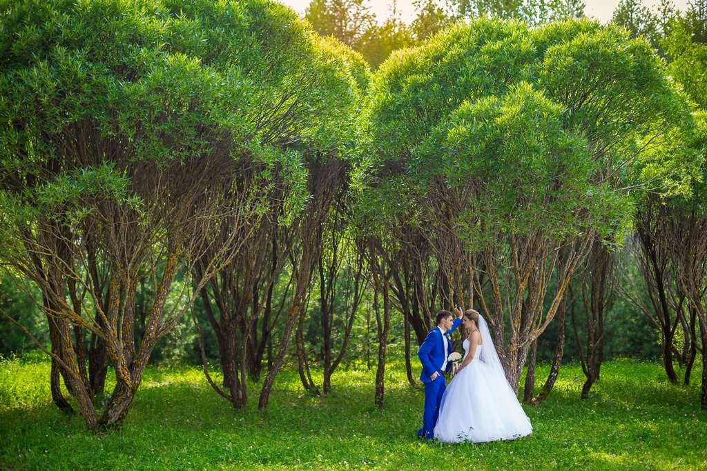 свадьба&nbsp;студия фото-видеосъемки : 