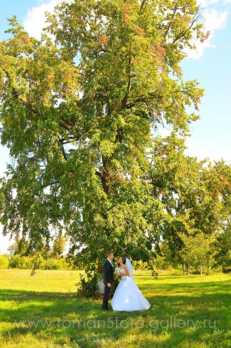 Свадьбы&nbsp;Роман Фотограф : 