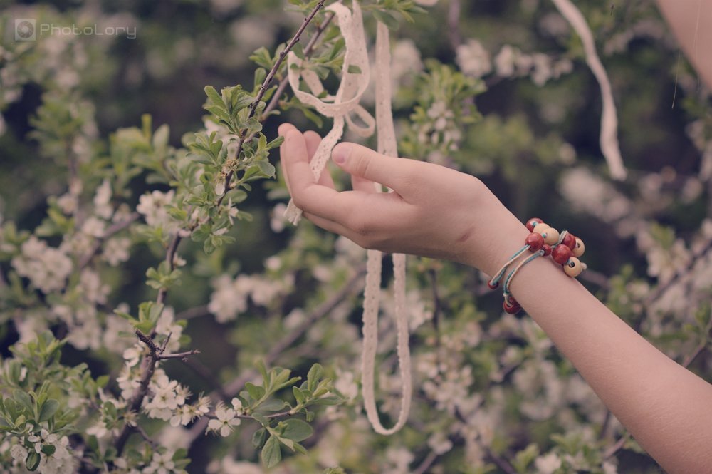 Весна&nbsp;Ольга Рудакова : 