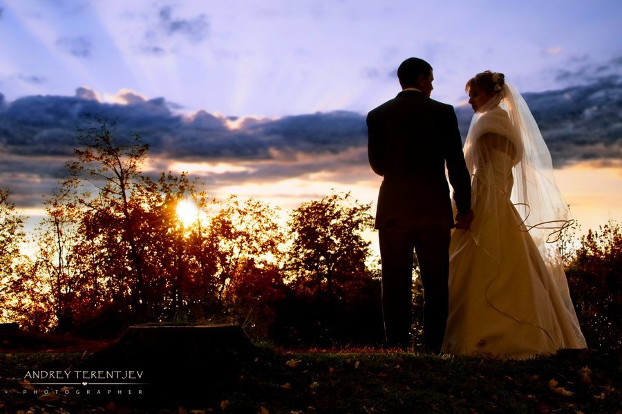 Фотоальбом&nbsp;Свадебный фотограф Андрей Терентьев : 