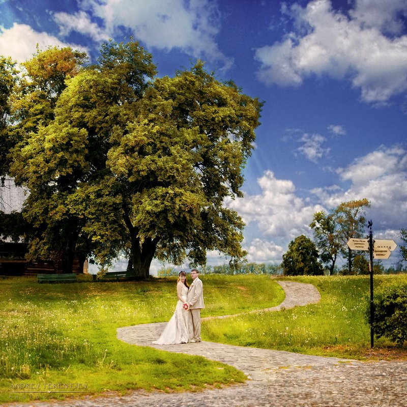 Фотоальбом&nbsp;Свадебный фотограф Андрей Терентьев : 