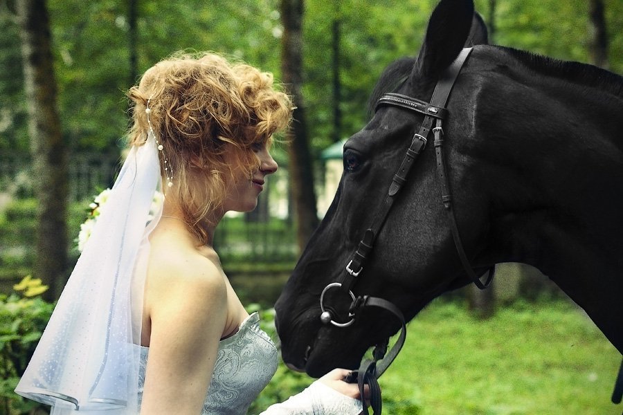 Бурликов Владимир -  студия "ЛЮКС"&nbsp;Фотограф Бурликов Владимир студия "ЛЮКС" : 