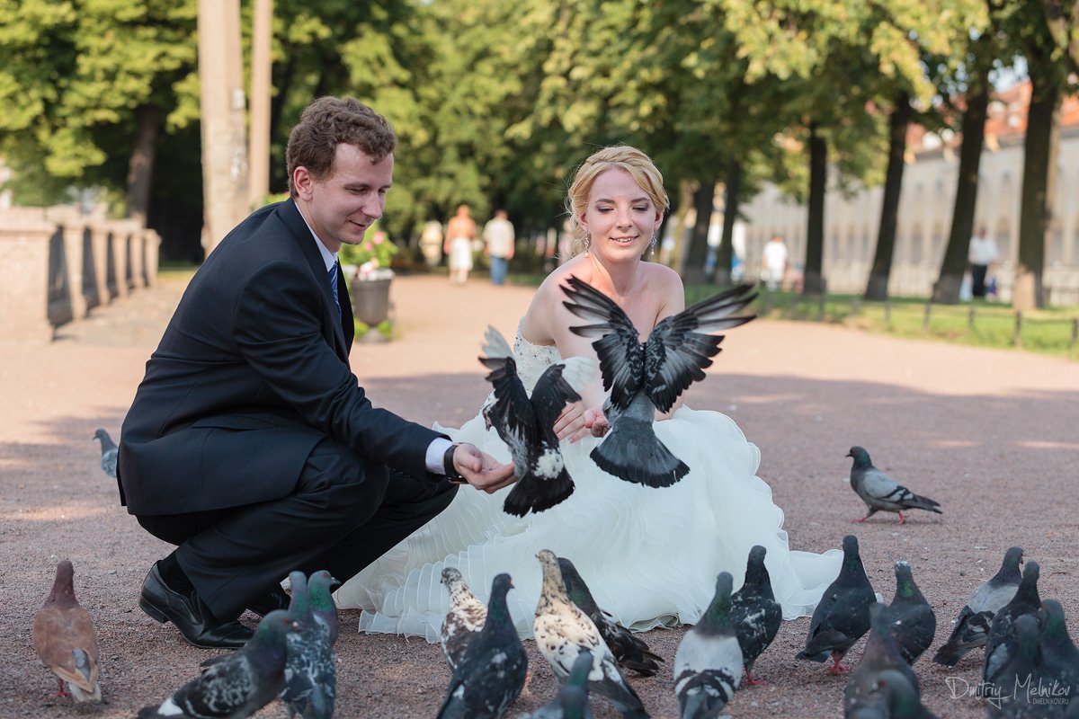Свадебная съемка&nbsp;Дмитрий Мельников : 