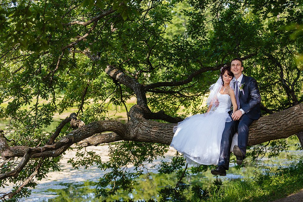 Свадебная съемка&nbsp;Дмитрий Мельников : 