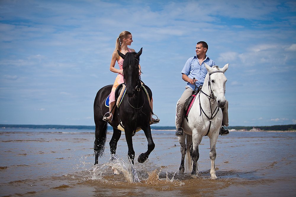 Свадебная съемка&nbsp;Дмитрий Мельников : 