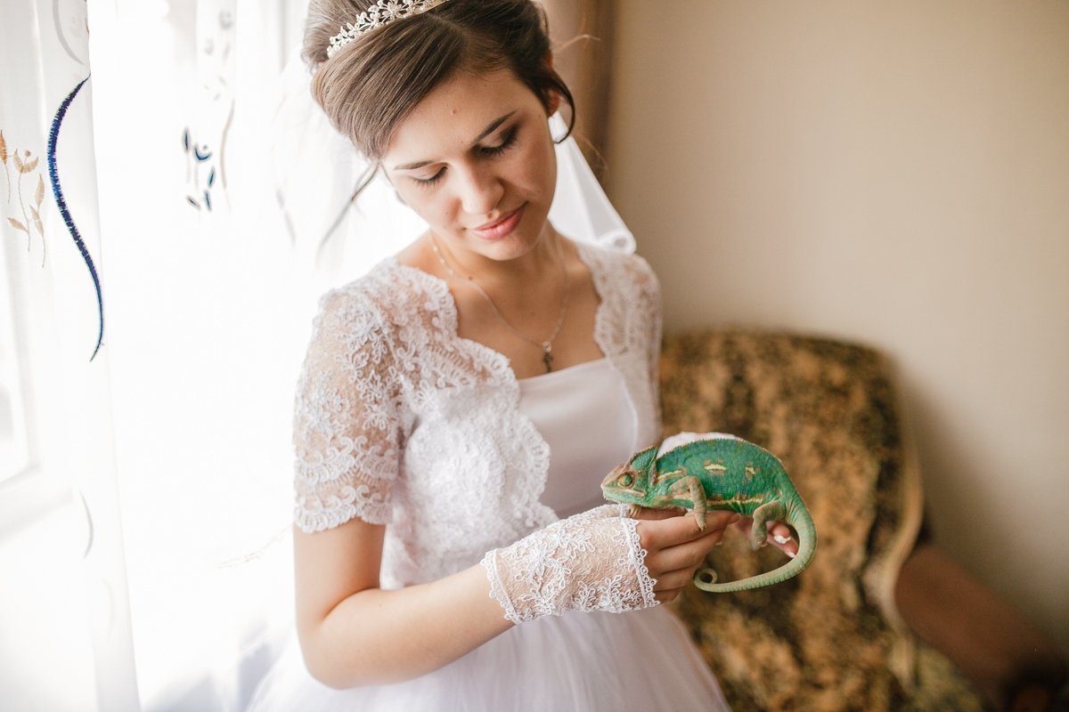 Weddings&nbsp;Фотограф Павел Козырь : 