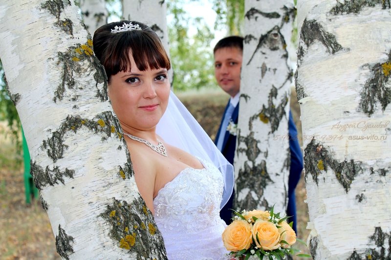 Свадебный&nbsp;ASuS : 