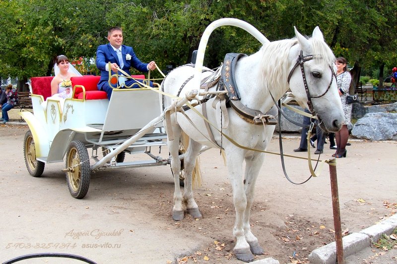 Свадебный&nbsp;ASuS : 