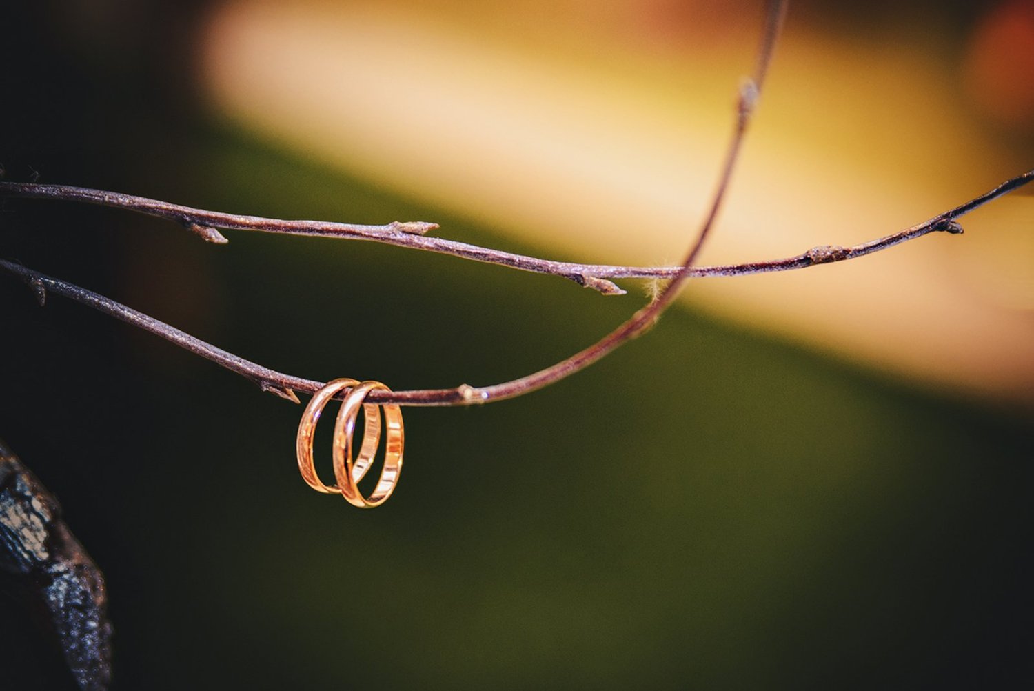 Фотоальбом&nbsp;Сергей Андреев : 