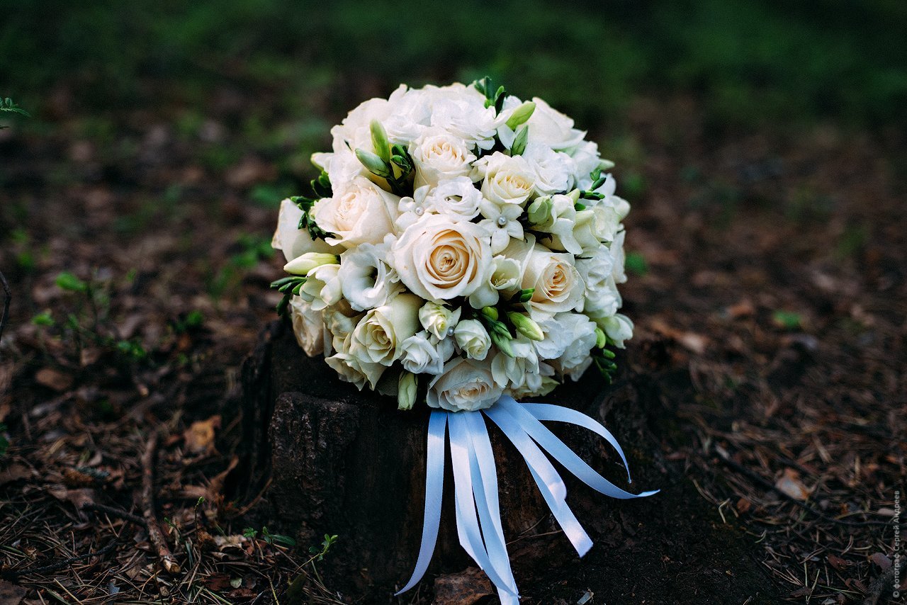 Фотоальбом&nbsp;Сергей Андреев : 