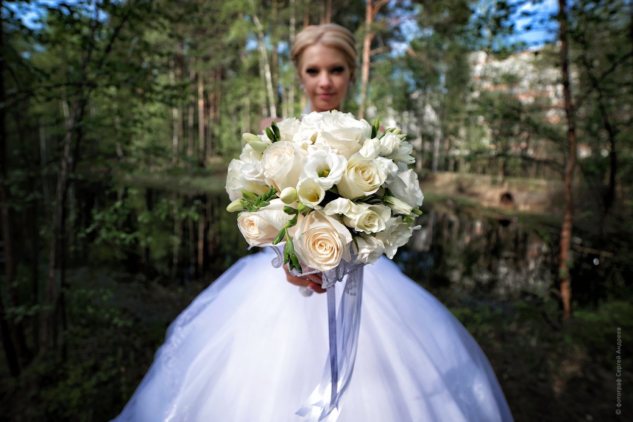 Фотоальбом&nbsp;Сергей Андреев : 