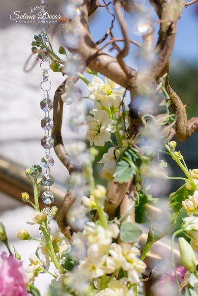 Свадьба Екатерины и Павла. Июнь 2015&nbsp;SELENA Wedding Decor : 
