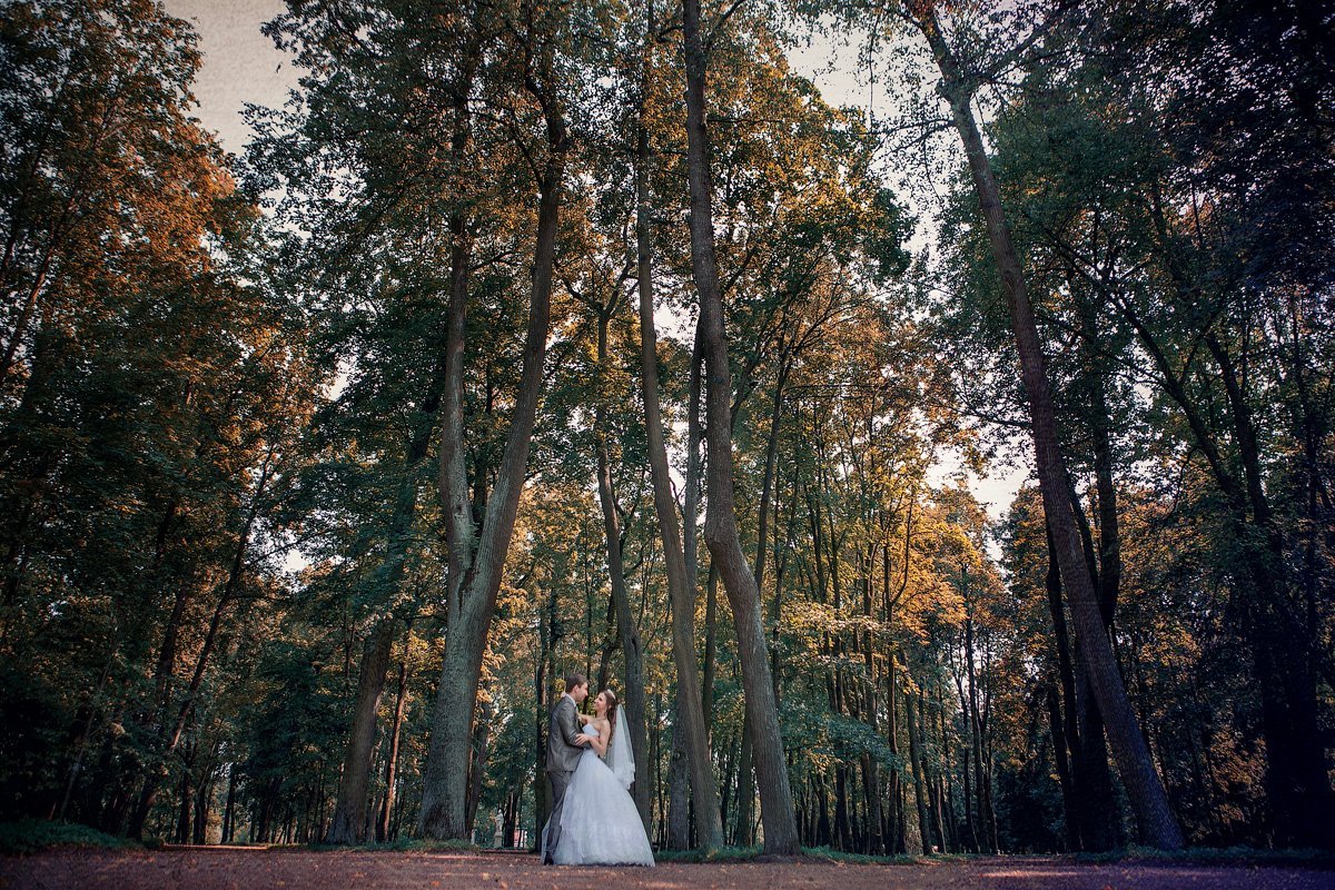 Свадьбы&nbsp;Творческая группа "Фортуна" : 