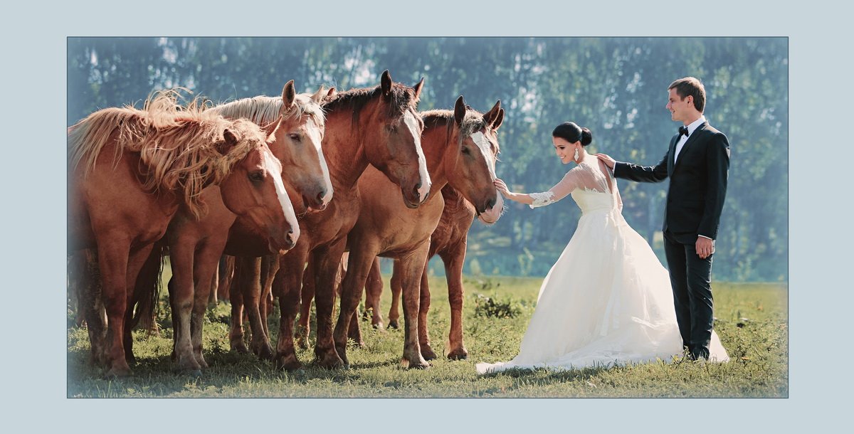 Портфолио&nbsp;Eleganza : 