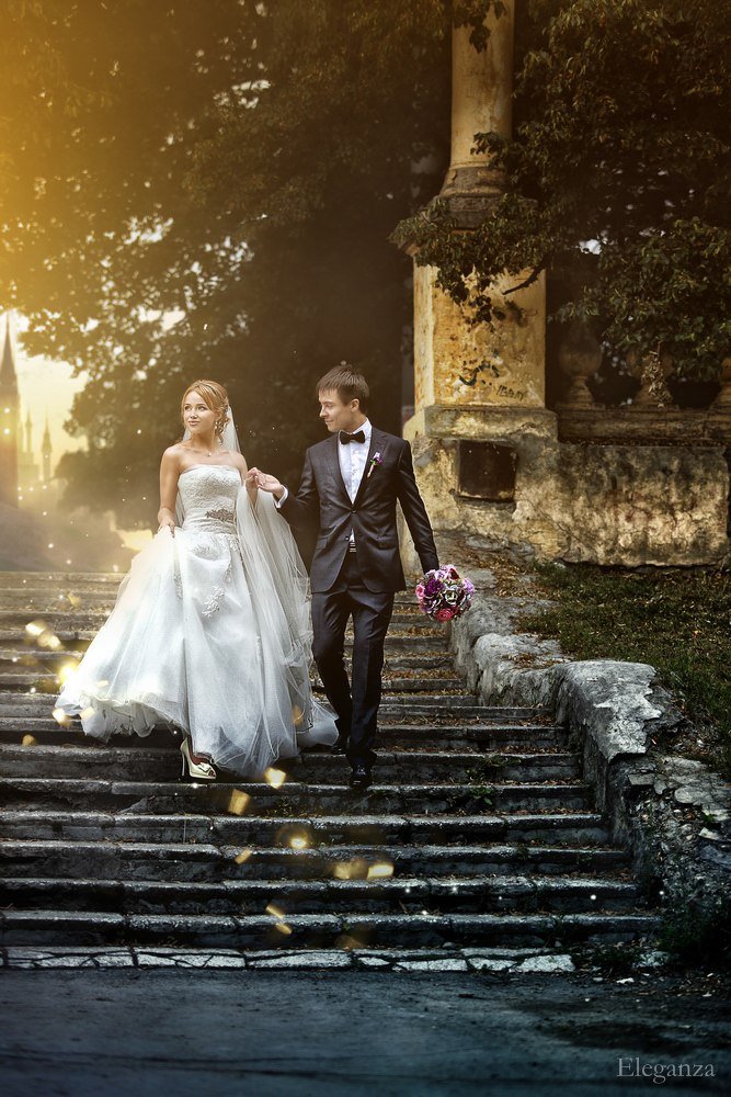 Портфолио&nbsp;Eleganza : 