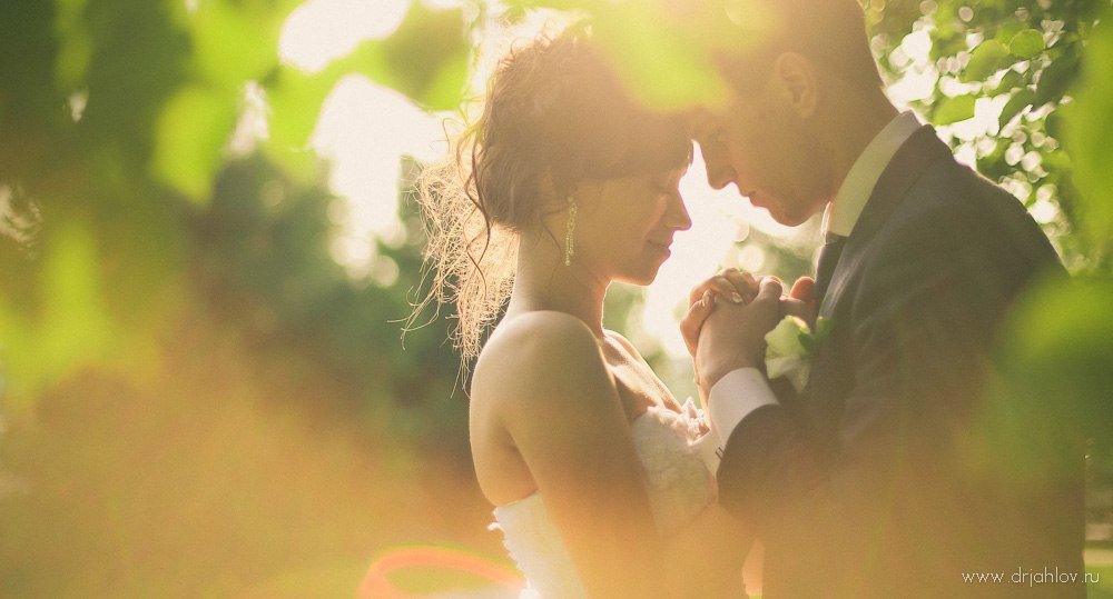 Портфолио&nbsp;Eleganza : 