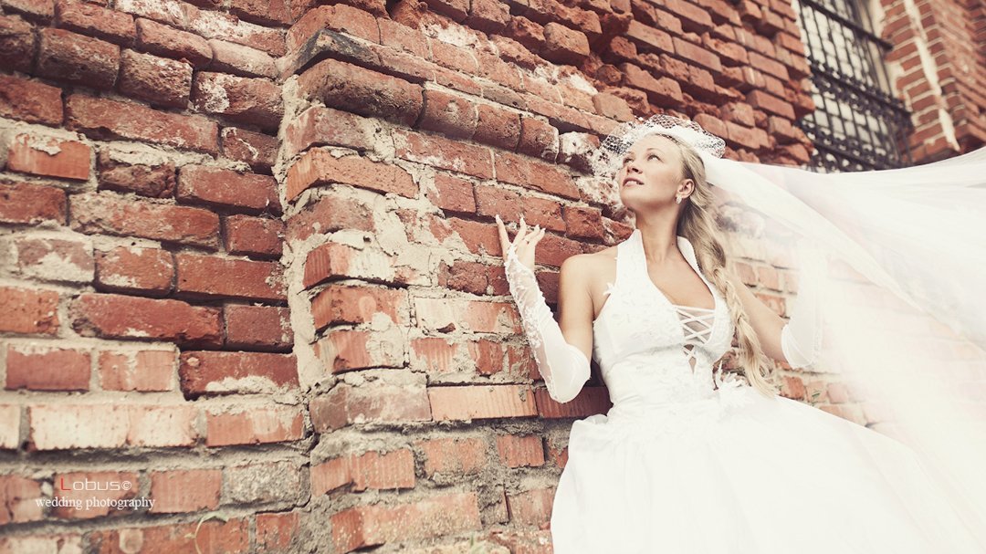 Свадебные фото&nbsp;Дмитрий Рюжанов : 