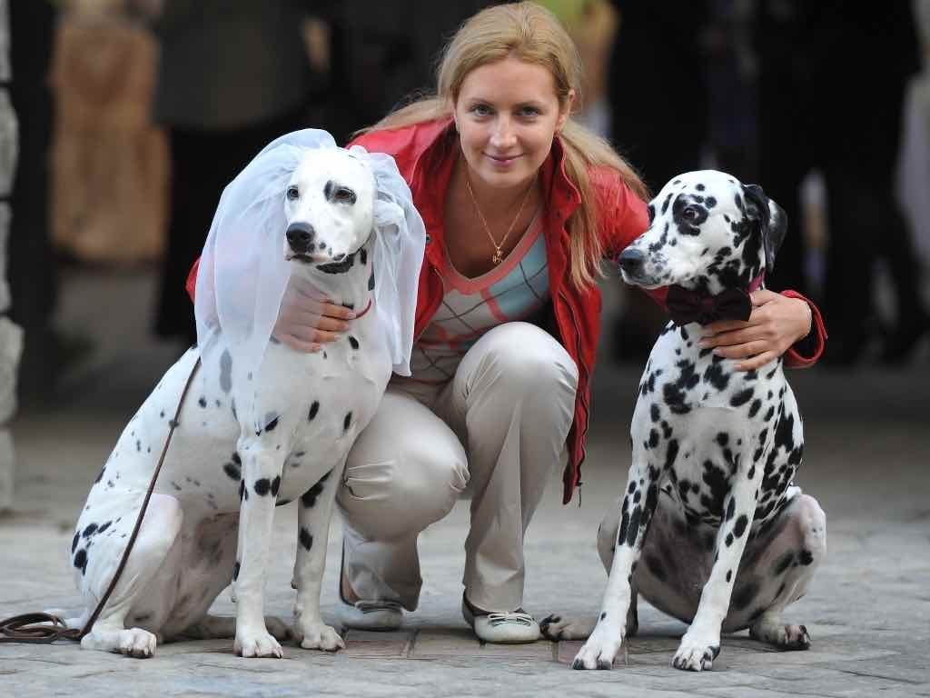 Организатор свадеб Екатерина Акимова&nbsp;Организатор свадеб Екатерина Акимова : 