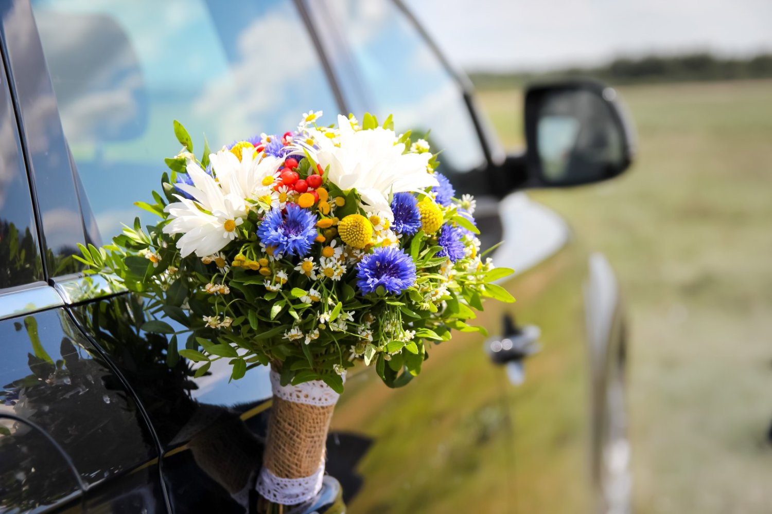 Анастасия и Дамир&nbsp;video AloneStudio : 