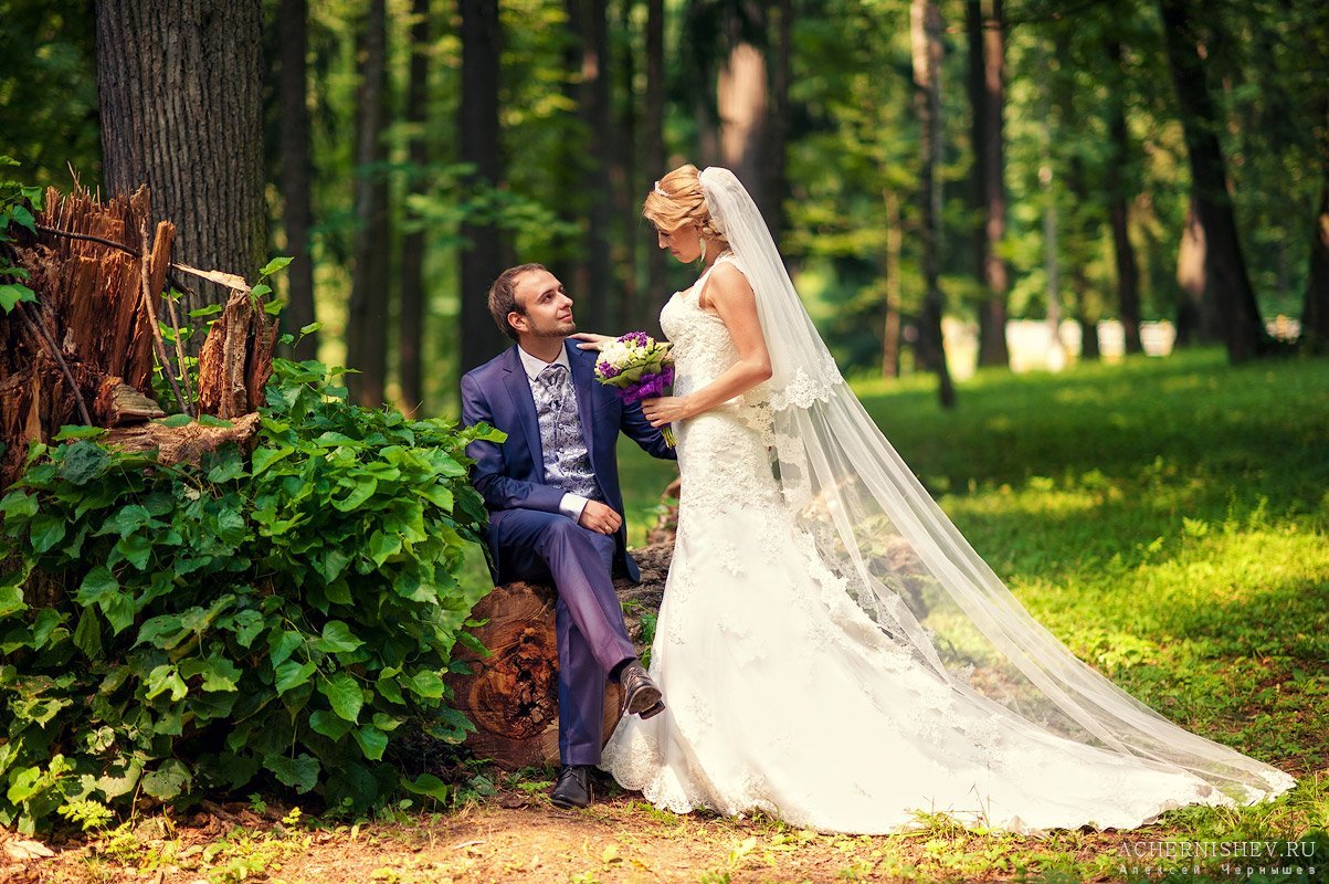 Красивые свадебные фотографии&nbsp;Фотограф Алексей Чернышев 8-915-386-46-98 : 