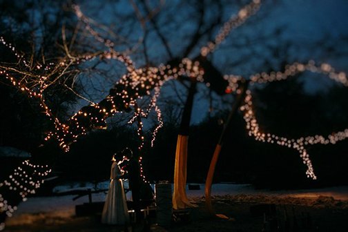 wedding&nbsp;Елена Ваховская : 